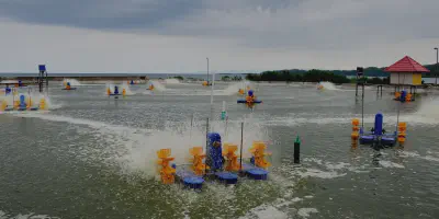 Budidaya Udang dengan Tambak Merupakan Bagian Usaha dalam Bidang Pertanian yang Menguntungkan
