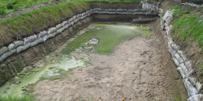 Budidaya Udang Air Tawar di Kolam - Tips Lengkap