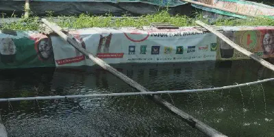 Mengenal Budidaya Udang dan Bandeng Dilakukan di Perairan Indonesia