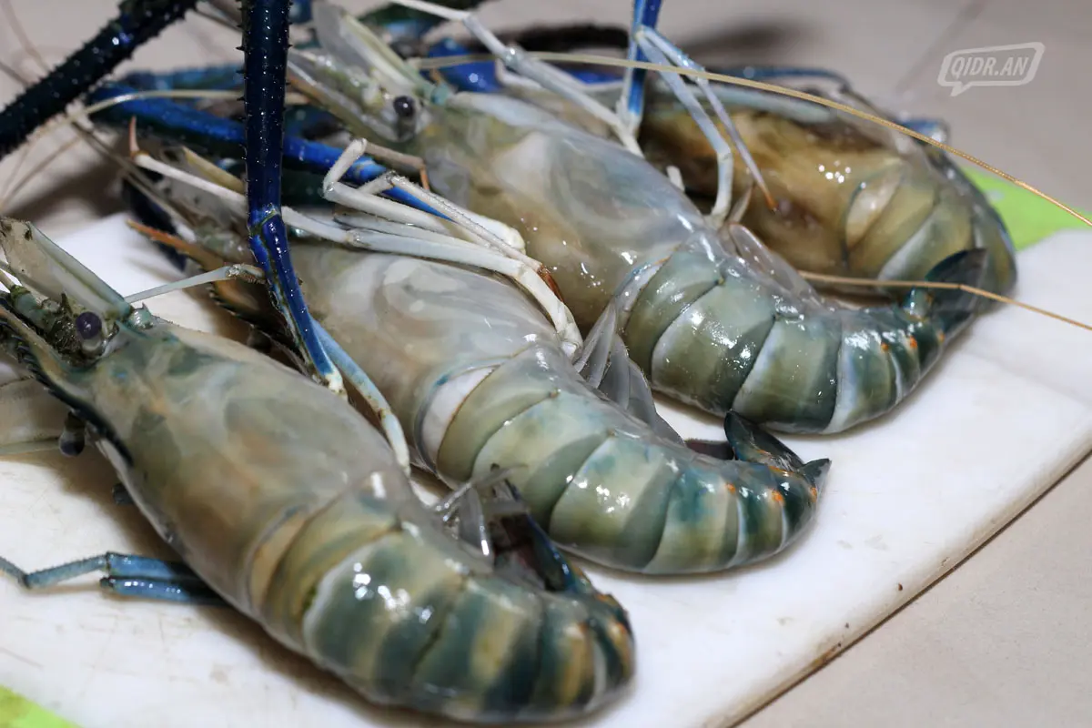 Budidaya Udang Gala: Cara Mudah Mendapatkan Medsos Paling Enak di Dunia