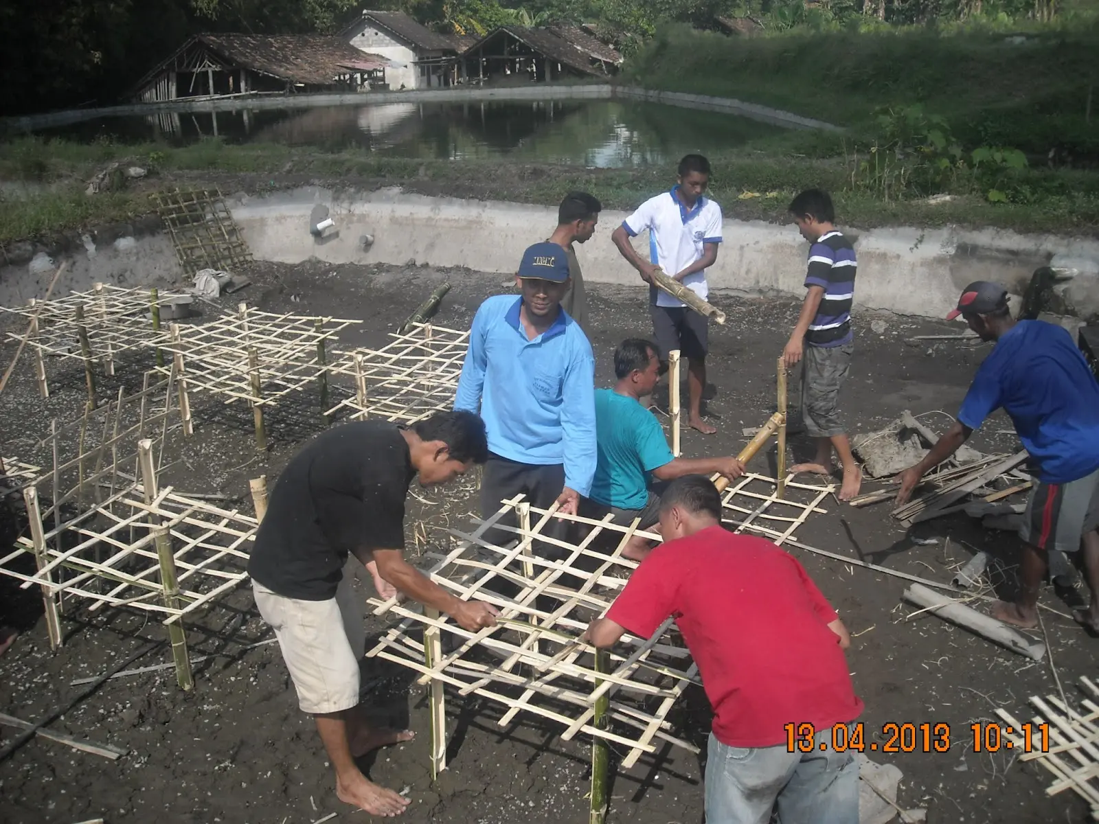 Pelatihan Budidaya Udang: Cara Memulai Budidaya Udang yang Menguntungkan