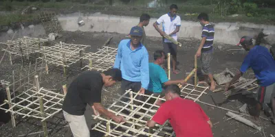 Pelatihan Budidaya Udang: Cara Memulai Budidaya Udang yang Menguntungkan